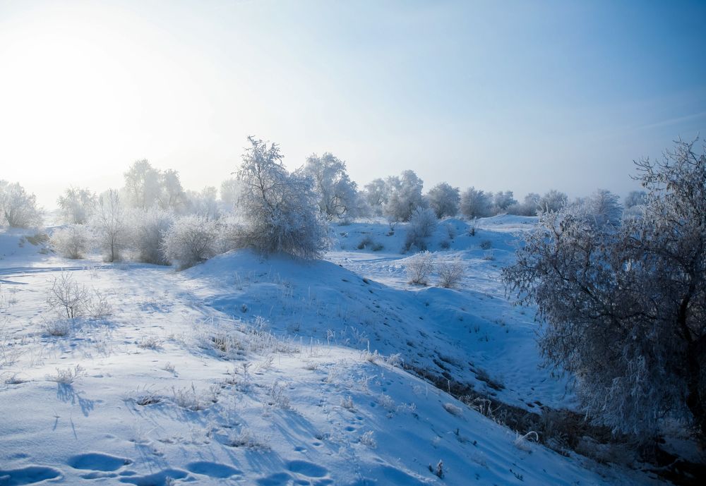 Photograph by Дарья Нартова