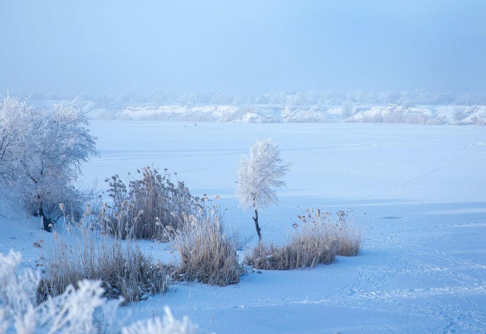 Photograph by Дарья Нартова