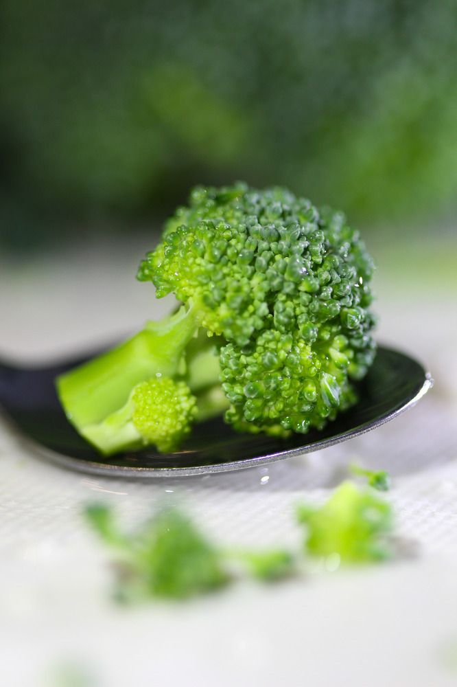 Photograph by Марина Горшкова