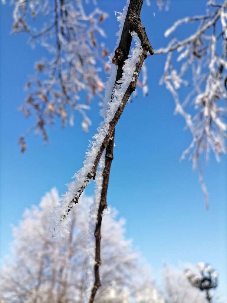 Photograph by Наталья Веряскина