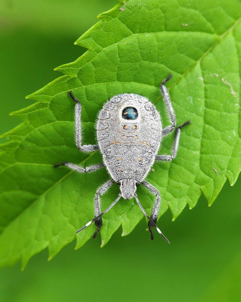 Photograph by Vinay Vkp