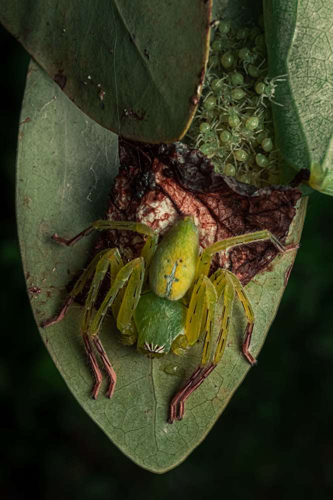 Photograph by Kiran Vasudevamurthy