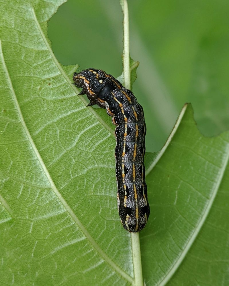 Photograph by Vinay Vkp