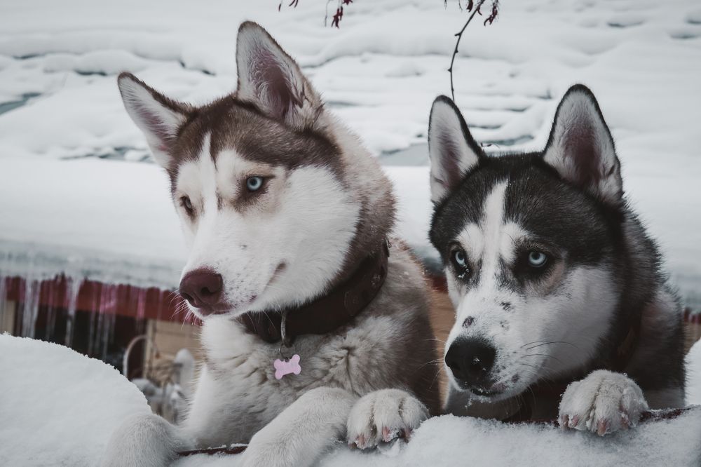 Photograph by Дмитрий Фадеев