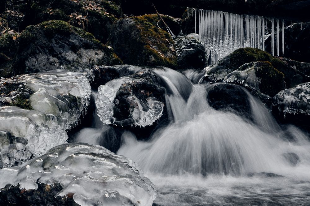 Photograph by Ирина Корнева