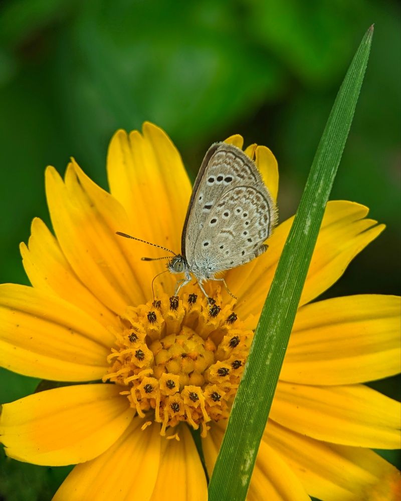 Photograph by Vinay Vkp