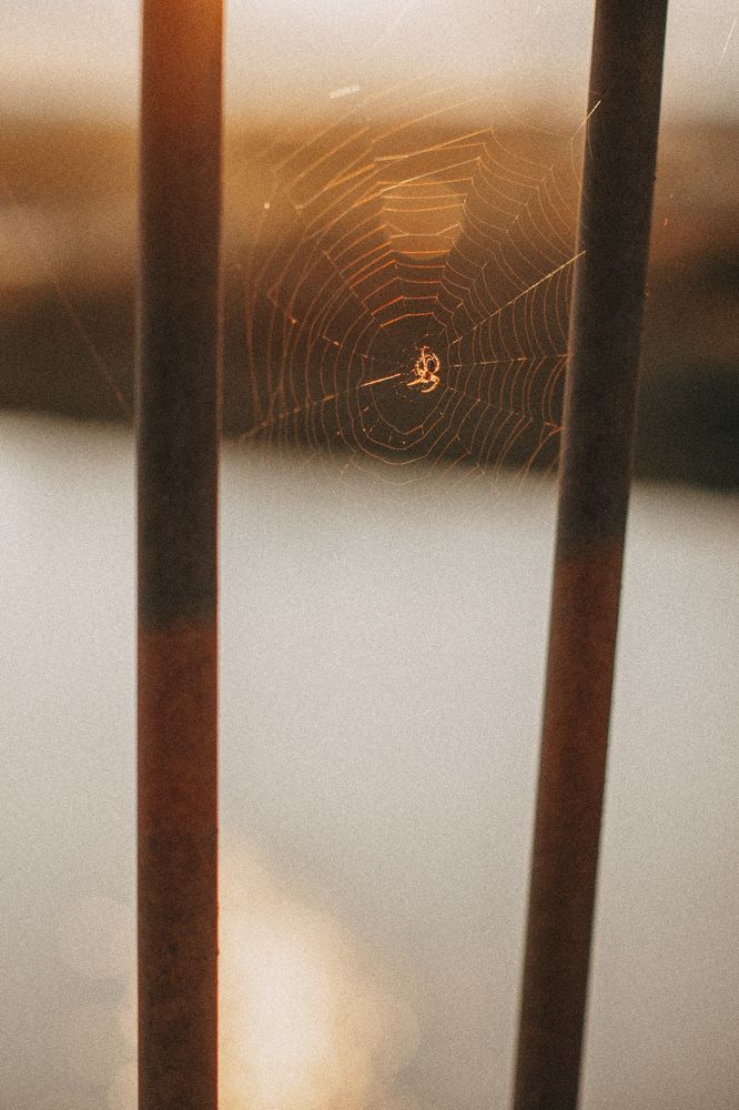 Photograph by Татьяна