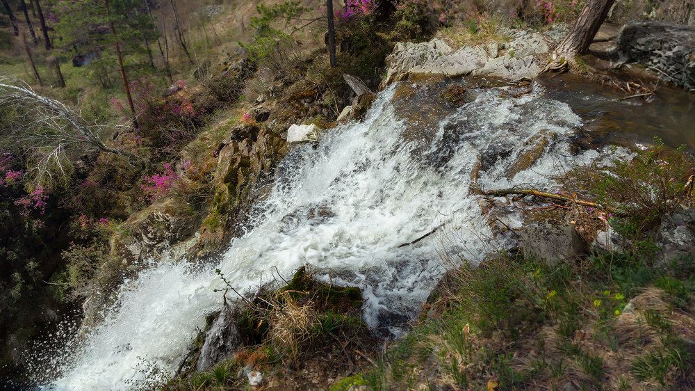 Photograph by Tatyana Aksenenko