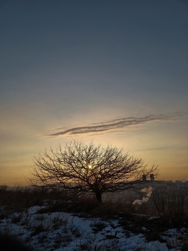 Photograph by Anna Griaznova