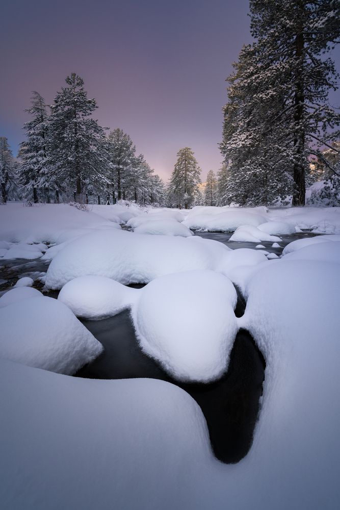 Photograph by Evgeni Fabis