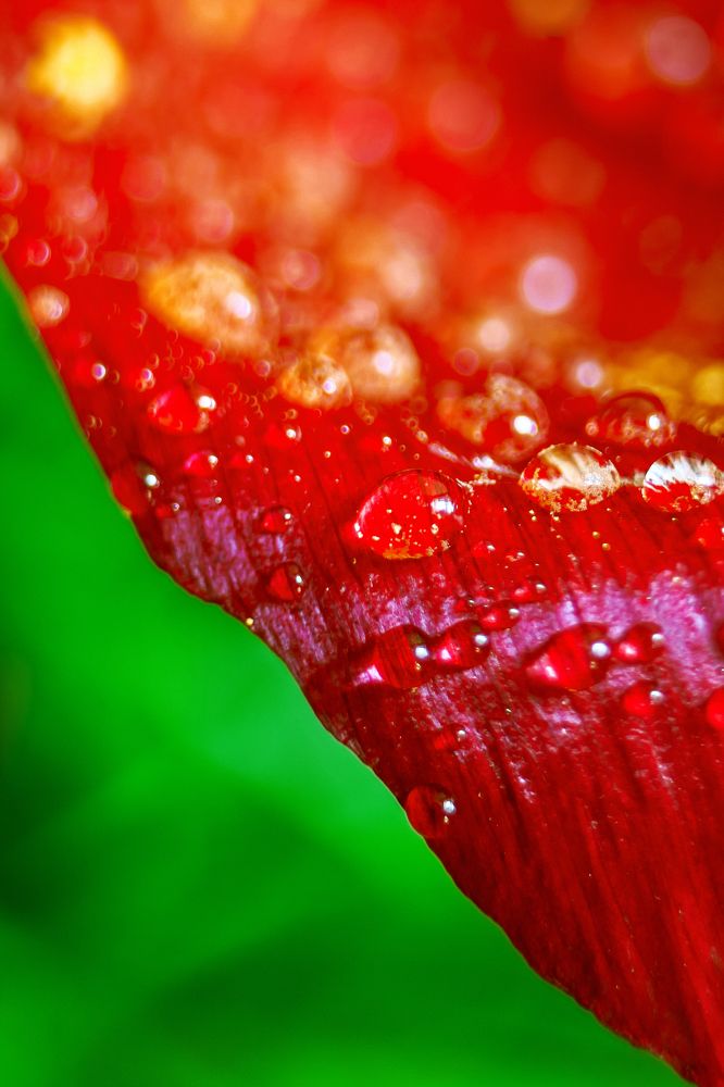 Photograph by Алексей Чепенко