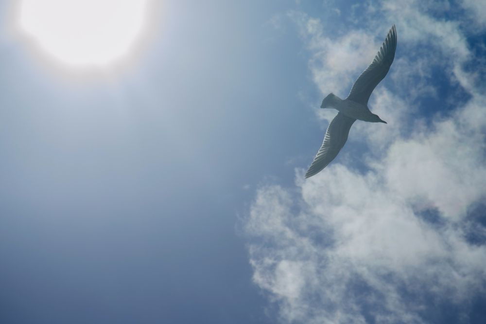 Фотография автора Людмила Куприянова