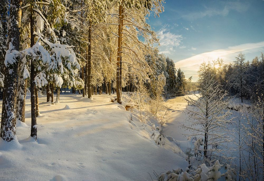 Photograph by Надежда Колеватова