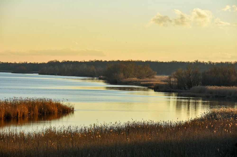 Photograph by Ирина Рыжая