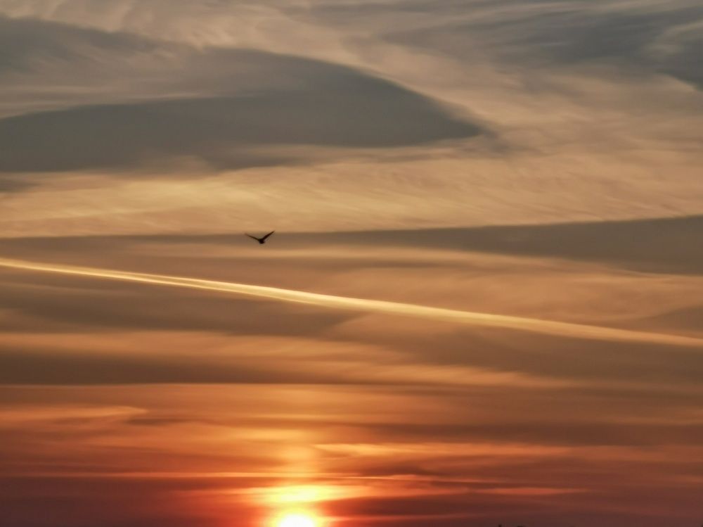 Photograph by Любовь Тарасюк