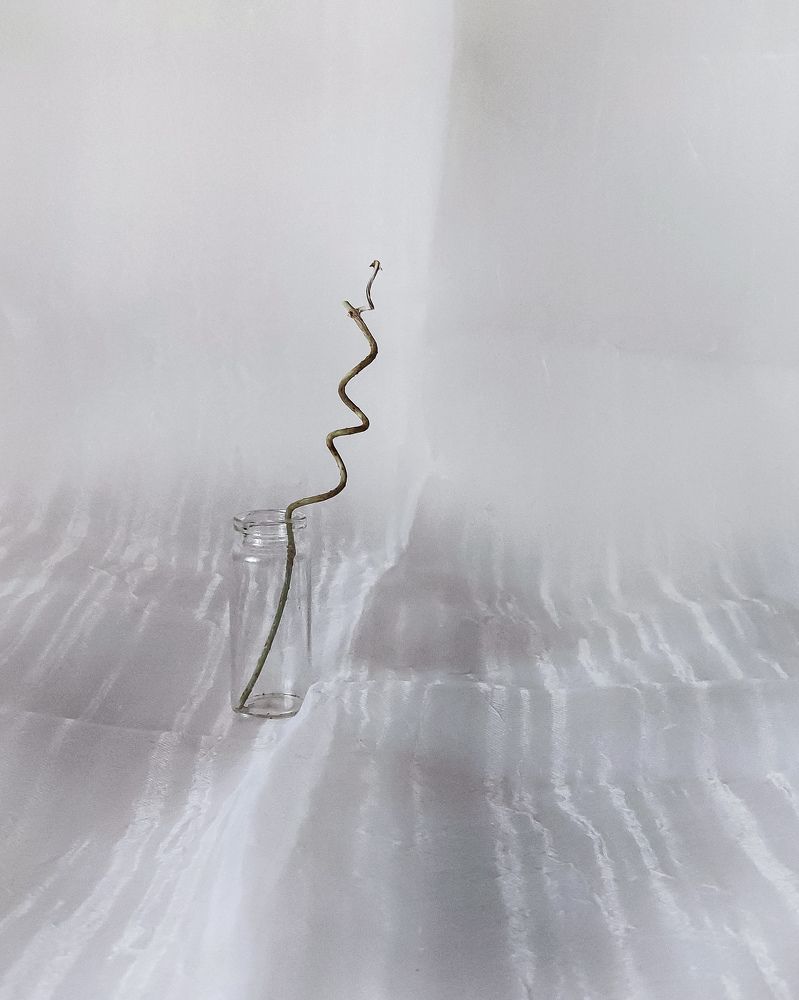 Photograph by Светлана Смирнова