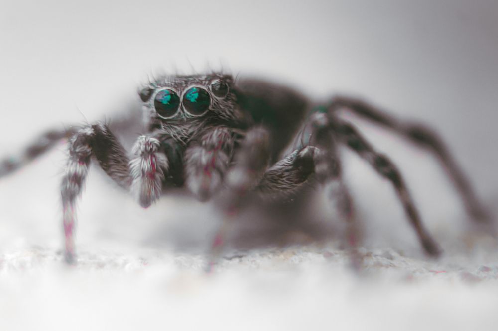 Photograph by Максим Лукманов