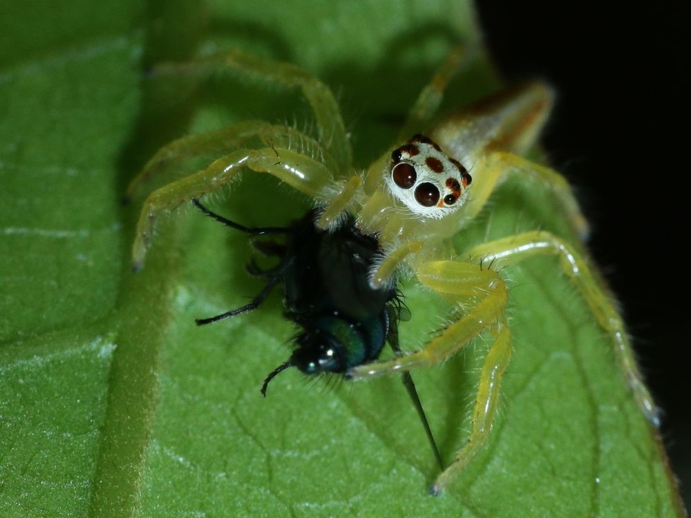 Photograph by Tun lin soe