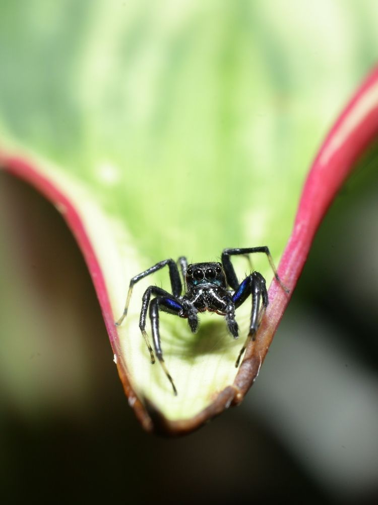 Photograph by Tun lin soe