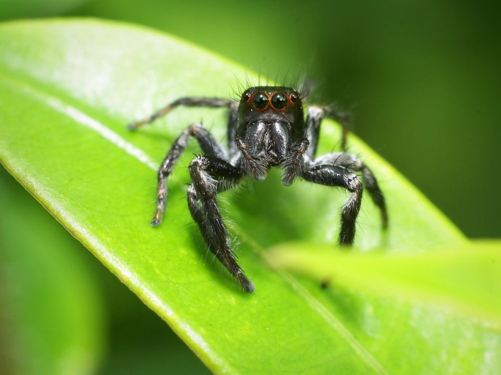 Photograph by Tun lin soe