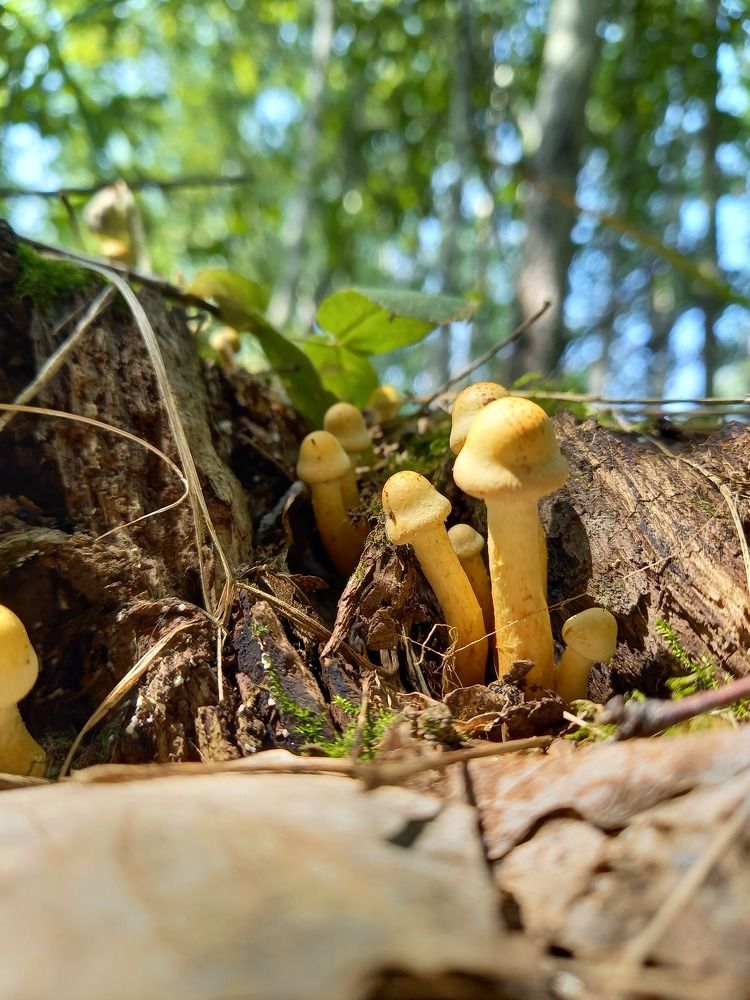 Photograph by Юлия Гудкова