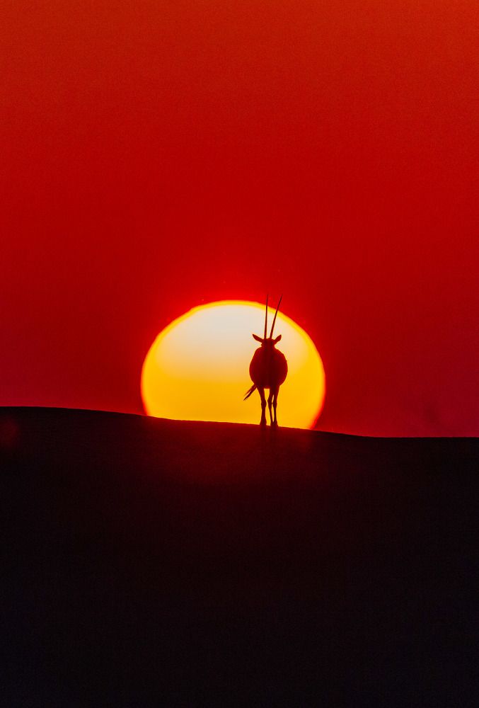 Photograph by Zubair Irshad