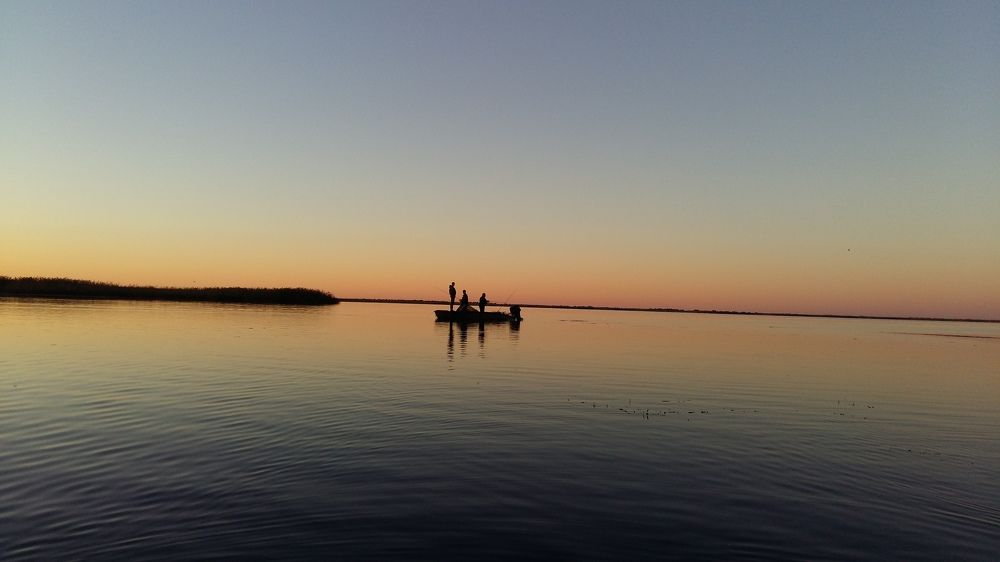 Photo #7104646