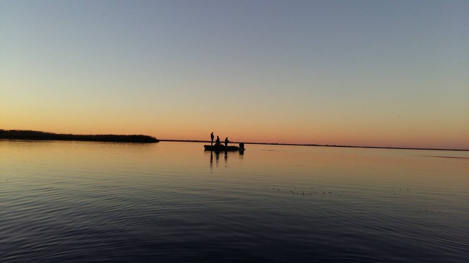 Photo #7104646
