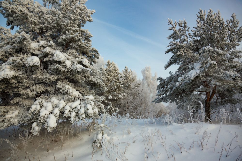 Photograph by Дмитрий Алексеев