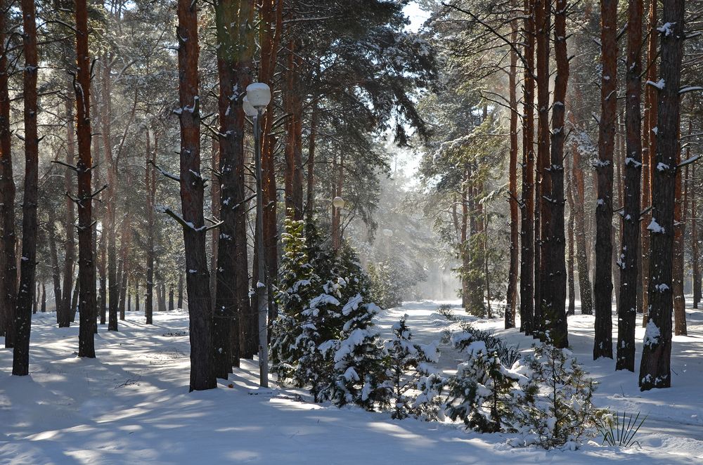 Photograph by Валерий Наумов
