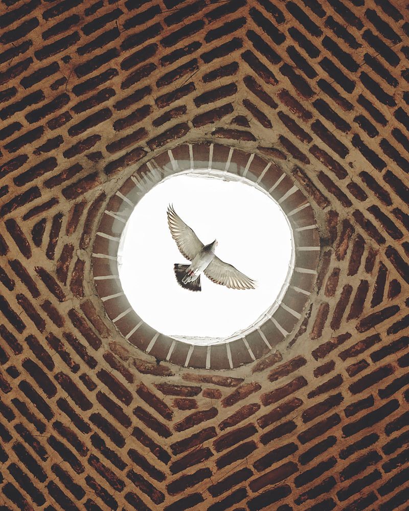 Фотография автора Mohammad Mohammadpour