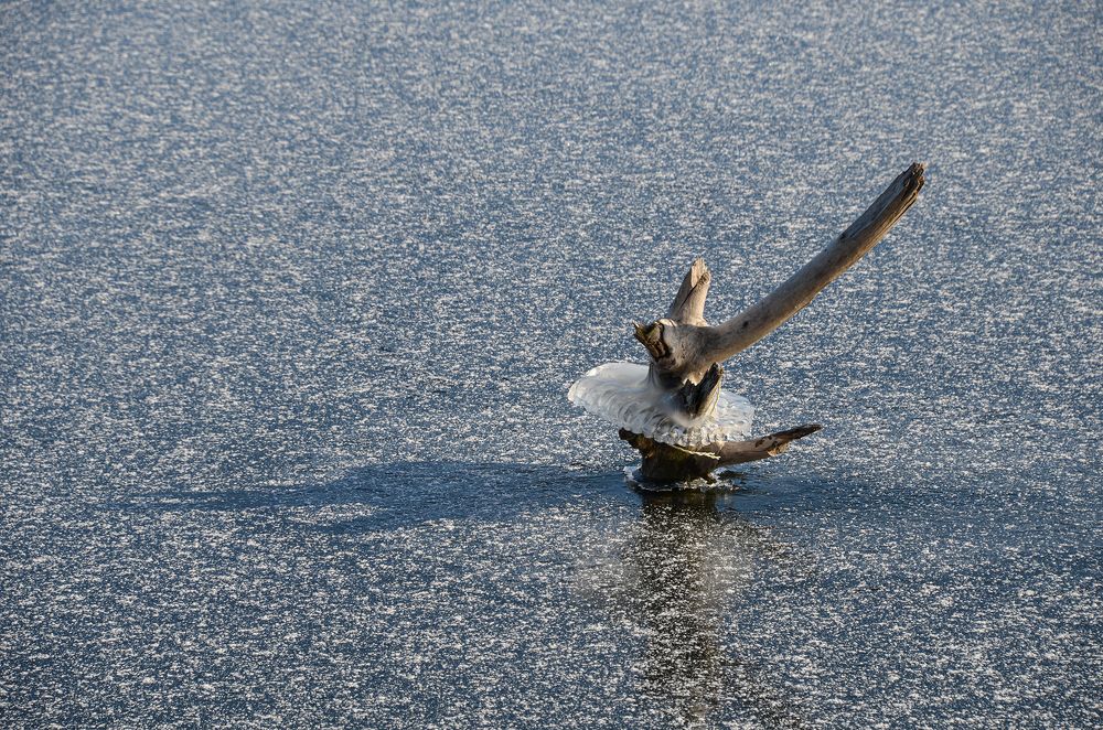 Photograph by Валерий Наумов