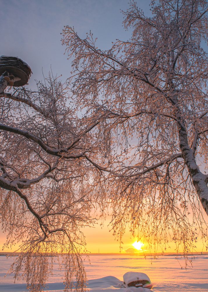 Photograph by Виктор Торба