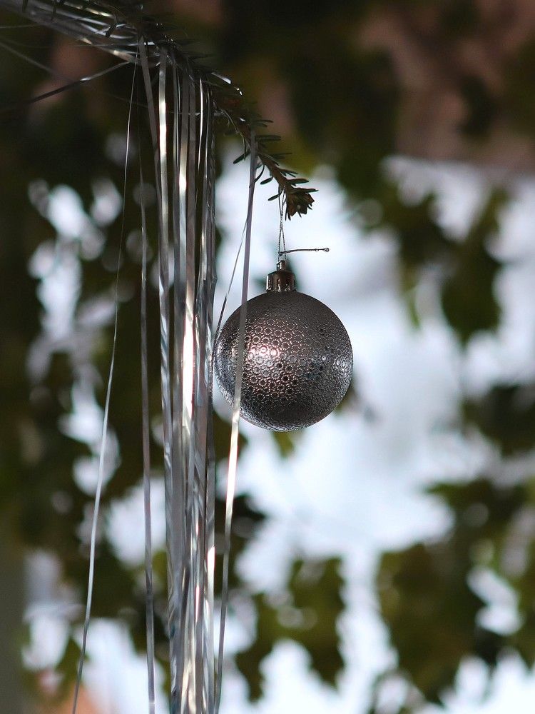 Photograph by Андрей Телибаев