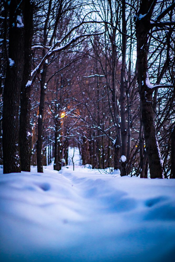 Photograph by Литвинов Николай