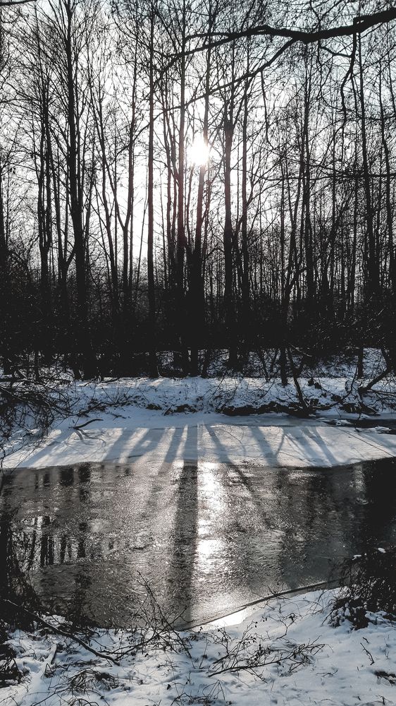 Photograph by Елена