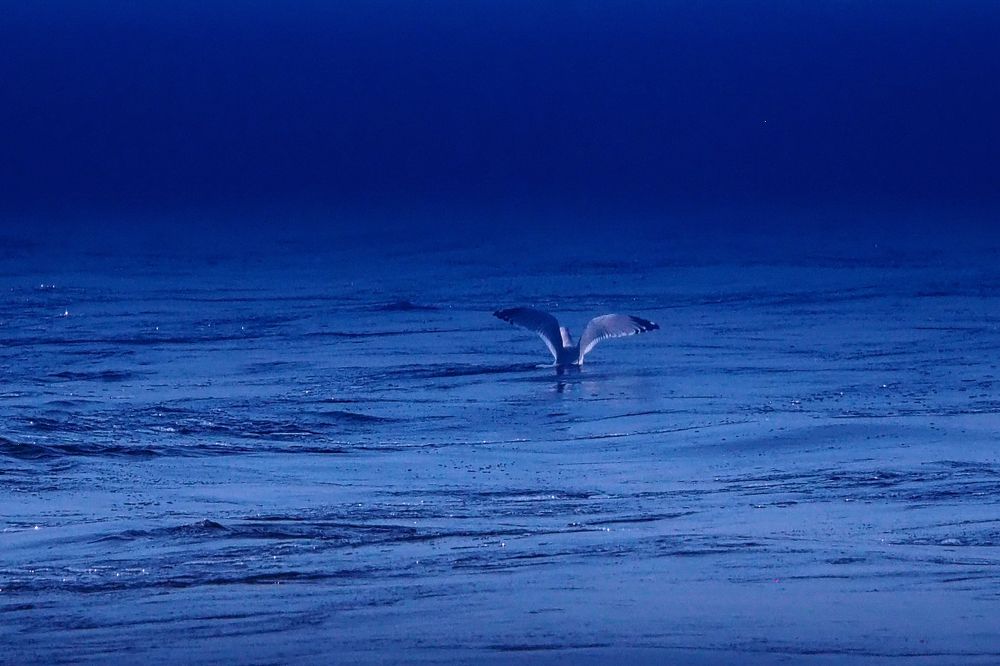 Photograph by Elena Khalizova