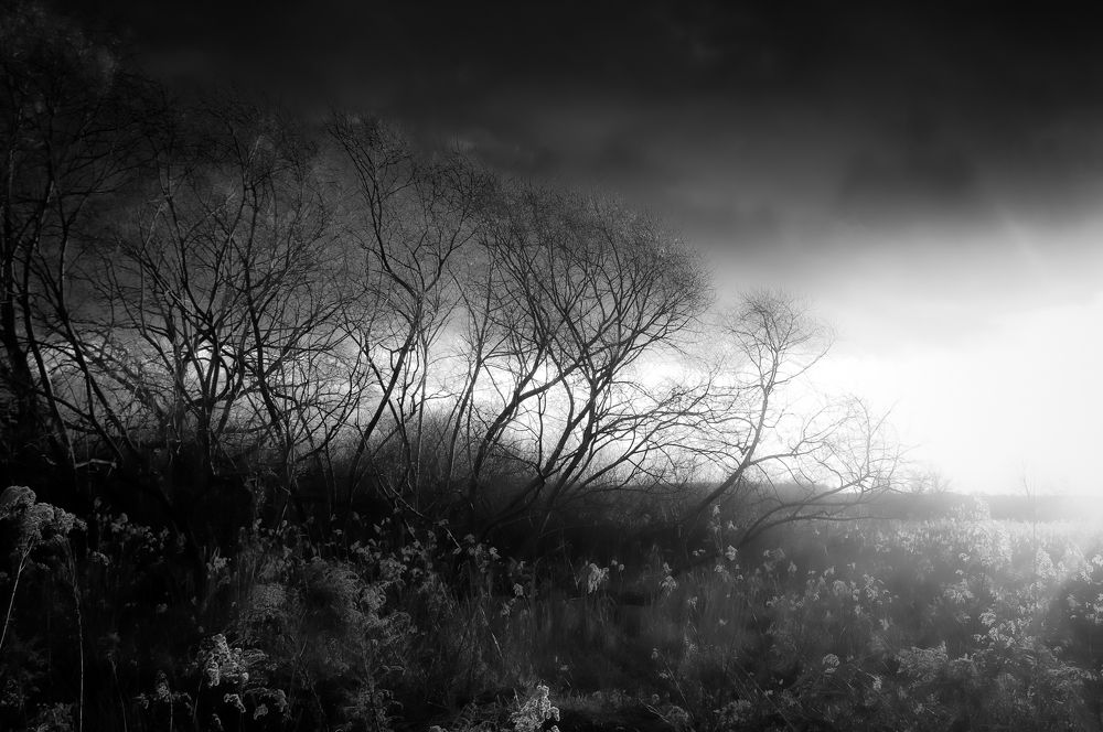 Last shine