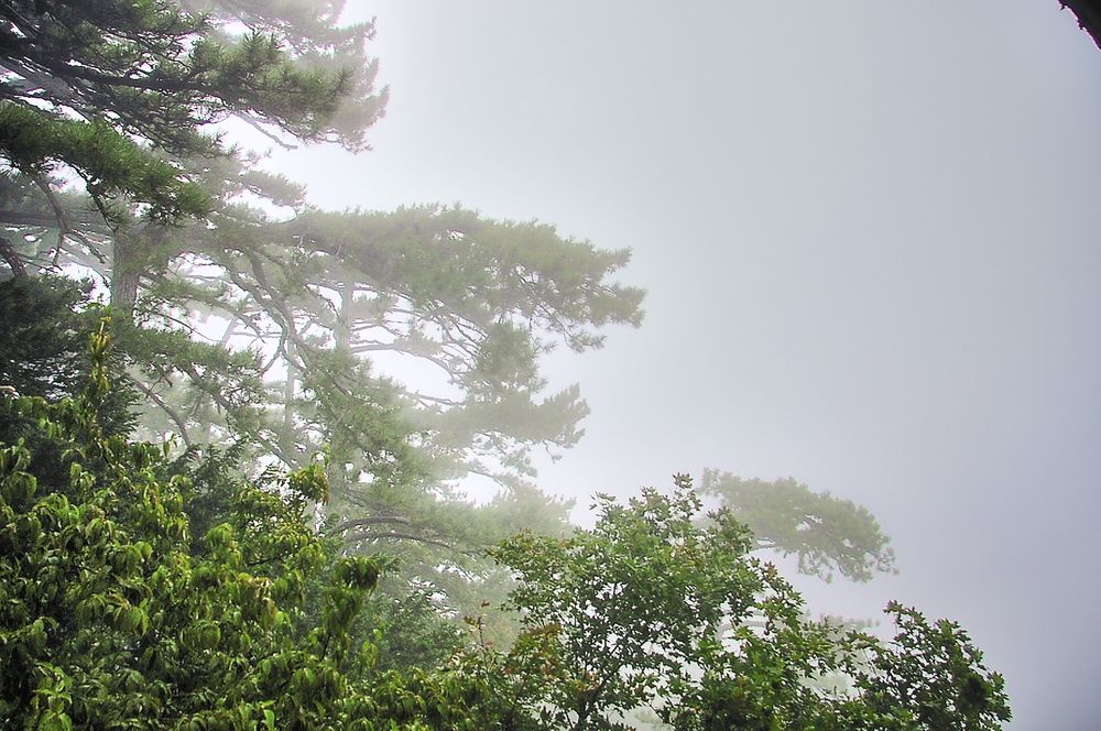 Photograph by Александр Кудрявцев