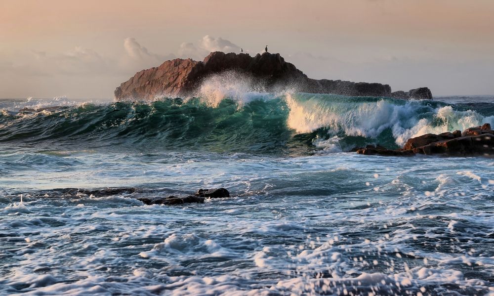 Photograph by Чекалов Валерий