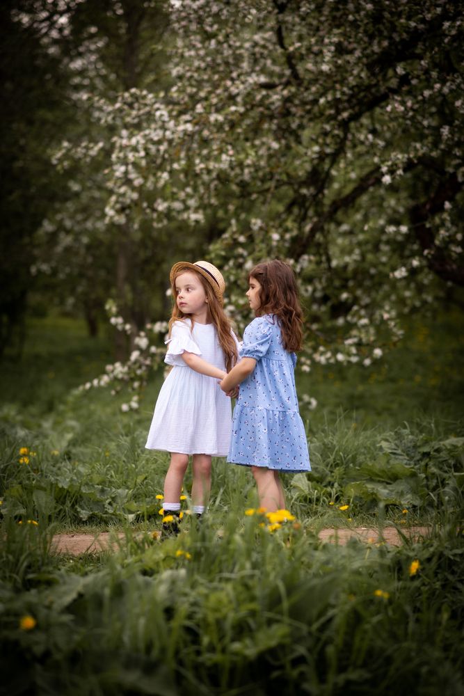 Фотография автора Виктория Шершень