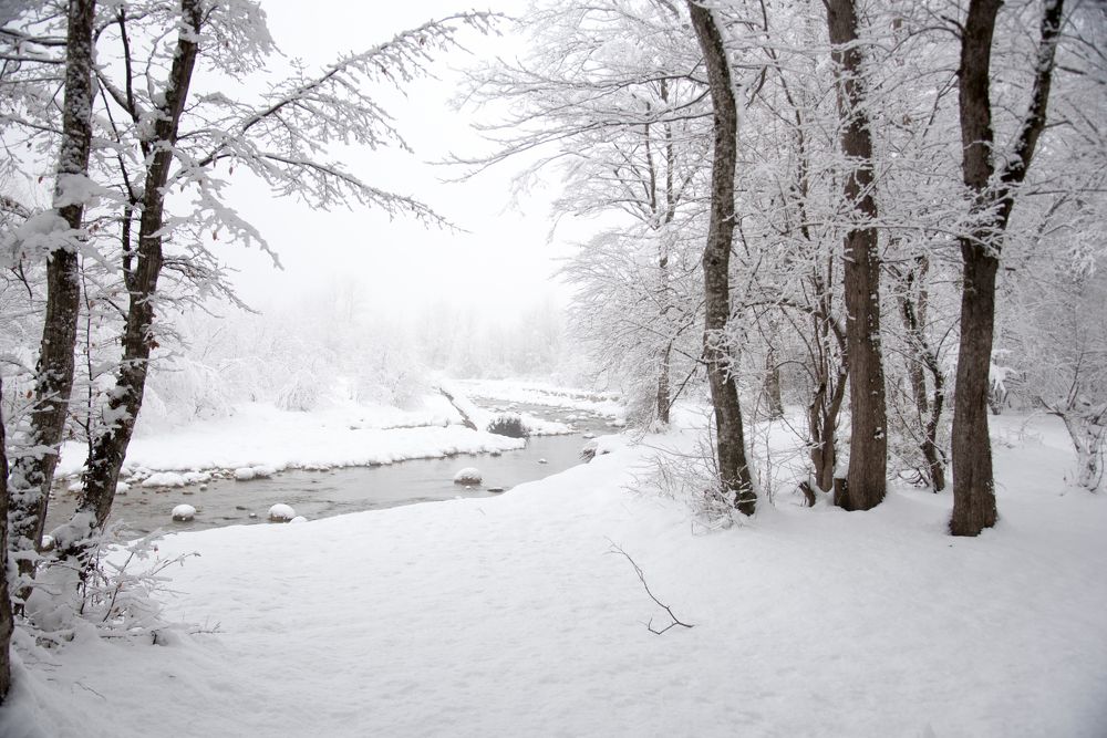 Photograph by Михаил Кравченко