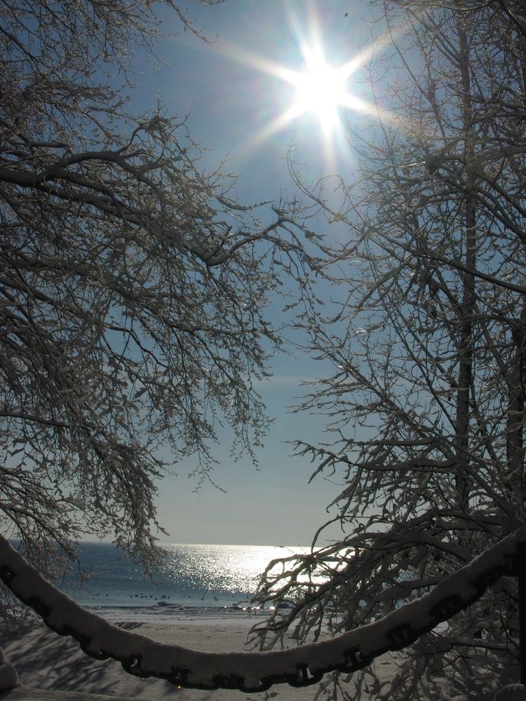 Photograph by Татьяна