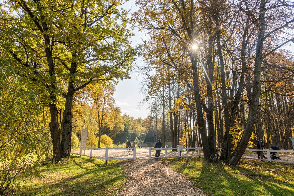 Прогулки в парке