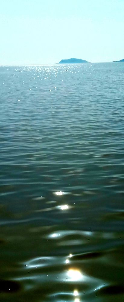 Фотография автора Michael Gault