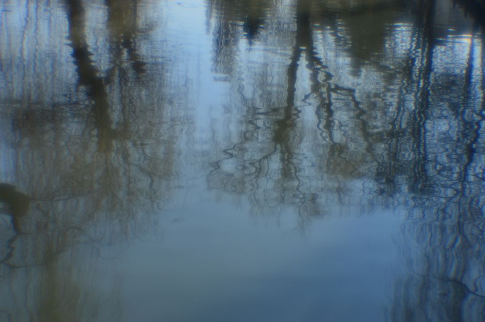 Акварельная сказка