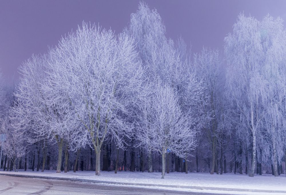 Photograph by Тема Амельянчик