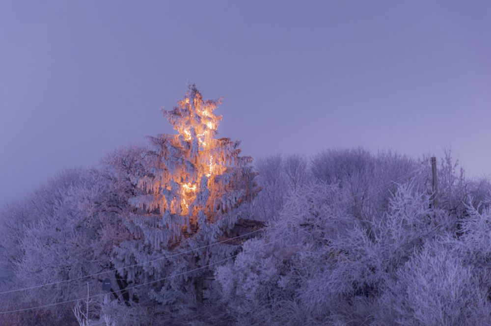 Photograph by Тема Амельянчик