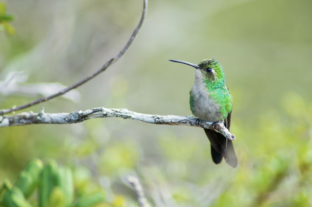 Photograph by Manuel Soto