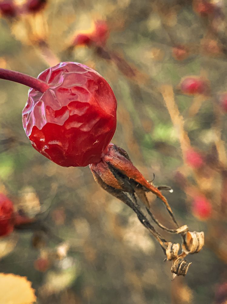 Photograph by Наталья Перерва